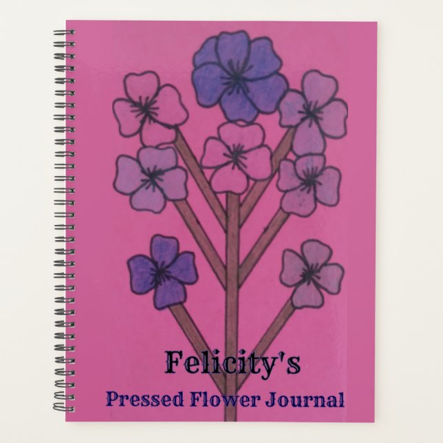 Felicitys Tagebuch der gepressten Blumen (Vorderseite)