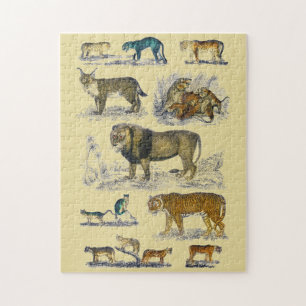 Feline Animals Puzzle