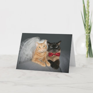 Feline Bride und Groom Ankündigung