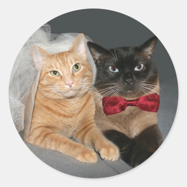 Feline Bride und Groom Runder Aufkleber (Vorderseite)