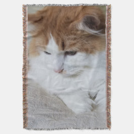 (Feline Extravagant) Kitty Contemplation: Cat Foto Decke