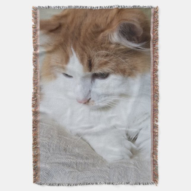 (Feline Extravagant) Kitty Contemplation: Cat Foto Decke (Vorderseite Vertikal)