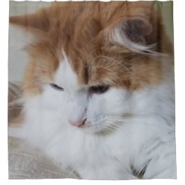 (Feline Extravagant) Kitty Contemplation: Cat Foto Duschvorhang