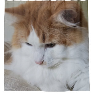 (Feline Extravagant) Kitty Contemplation: Cat Foto Duschvorhang