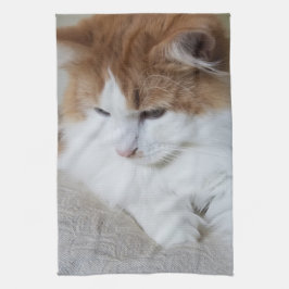 (Feline Extravagant) Kitty Contemplation: Cat Foto Geschirrtuch