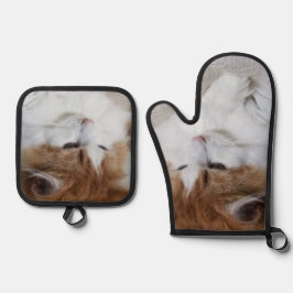 (Feline Extravagant) Kitty Contemplation: Cat Foto Ofenhandschuh & Topflappen-Set