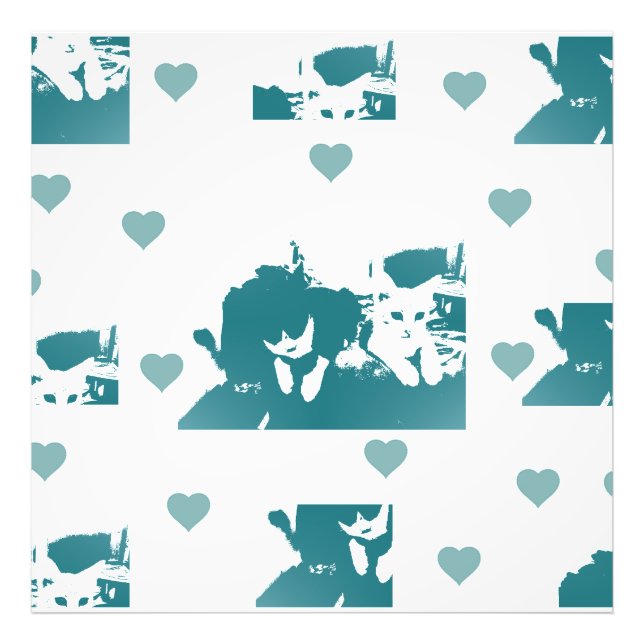 Feline Friends. Adorable Kitten Duo. Fotodruck (Vorne)