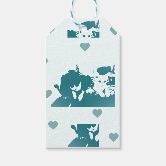 Feline Friends. Adorable Kitten Duo. Geschenkanhänger (Vorderseite)