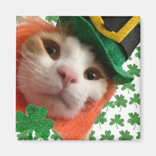 Feline Lucky? Magnet