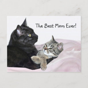 Feline Mother Day Postkarte