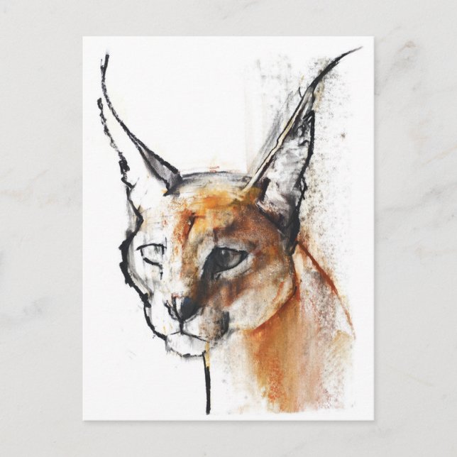 Feline Postkarte (Vorderseite)