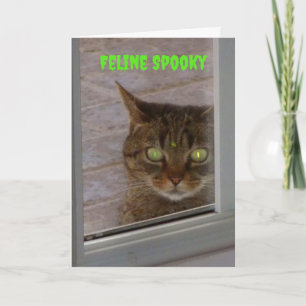 Feline Spooky Cat Halloween Karte