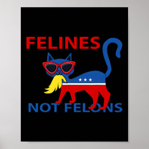 Felines keine Straftäter Lustige Kamala Cat Lady m Poster