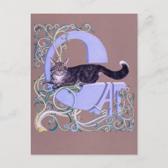 Felis Illumines Postkarte (Vorderseite)