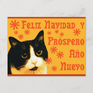 Felix Navidad Postkarte