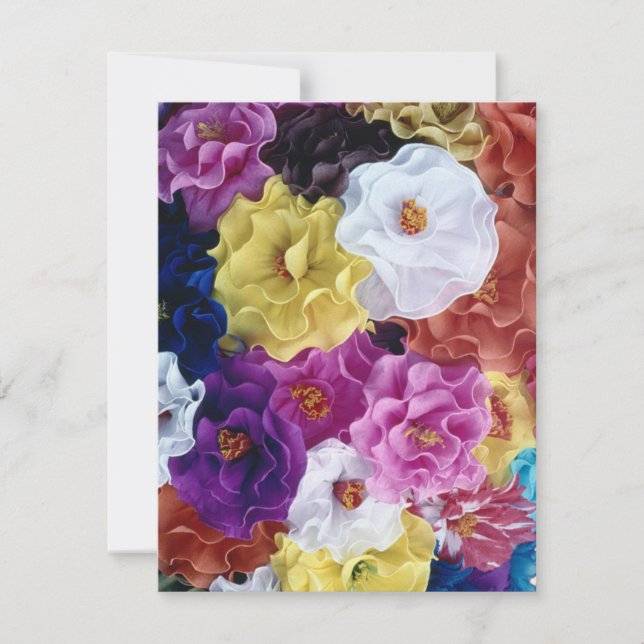 ¡Feliz Cinco de Mayo! (Vorderseite)