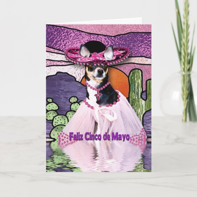 FELIZ CINCO DE MAYO - Chihuahua in einem Sombrero Karte (Vorderseite)