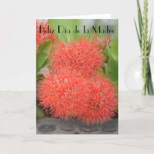 Feliz Dia de la Madre 18 Karte