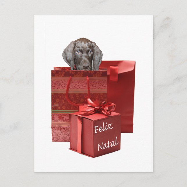Feliz Natal Kurzhaar Postkarte (Vorderseite)