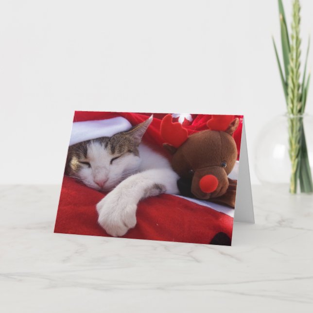 Feliz Navidad Feiertagskarte (Vorderseite)