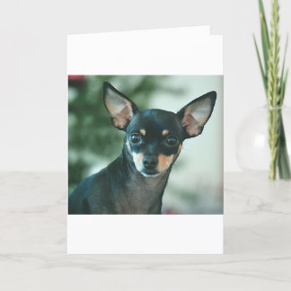 Feliz Navidad Feiertagskarte