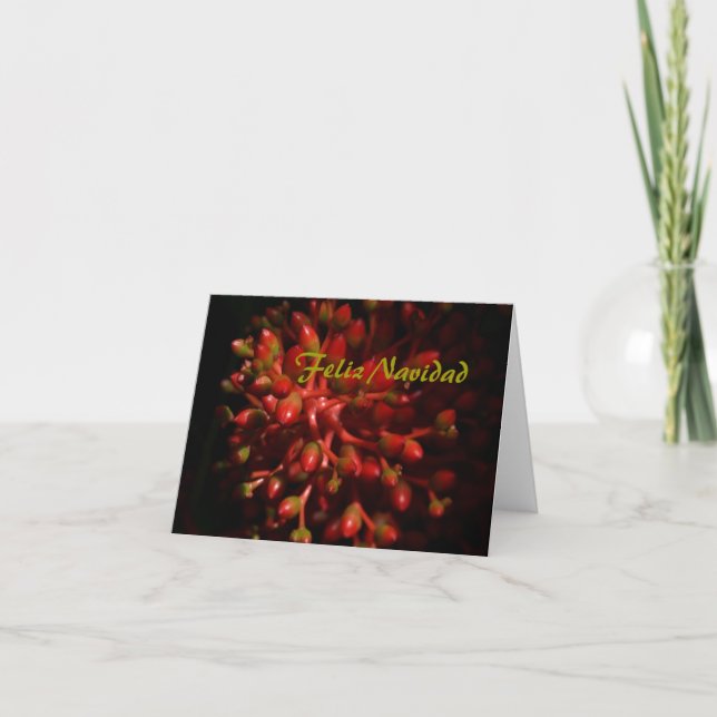 Feliz Navidad Feiertagskarte (Vorderseite)