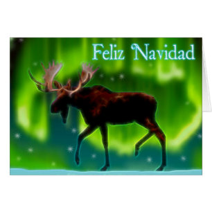 Feliz Navidad - Nordlichtmoose
