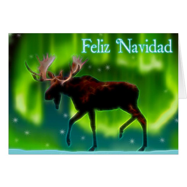 Feliz Navidad - Nordlichtmoose (Vorderseite (Horizontal))