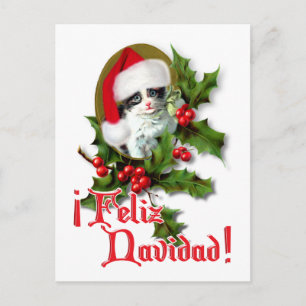Feliz Navidad - Weihnachtskitten Feiertagspostkarte