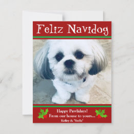 Feliz Navidog Dog Weihnachts Weihnachts-Fotokarte Feiertagskarte