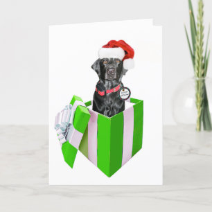 Feliz Navidog Feiertagskarte
