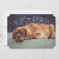 Feliz Navidog | FOTO