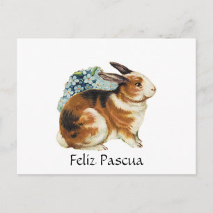 Feliz Pascua, fröhliche Ostern auf spanisch Feiertagspostkarte