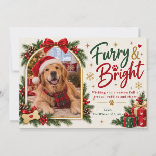 Fellige und helle Hund-Foto-Weihnachtskarte Feiertagskarte
