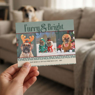 Felliger und heller Hunde-Weihnachtsfoto-Urlaubspo Feiertagspostkarte