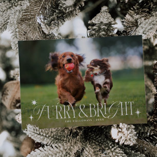 Felliger und heller Weihnachtsfoto-Horizontaler Hu Feiertagskarte