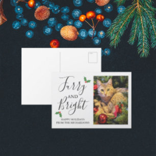 Felliger und heller Weihnachtsfotos für Haustiere Feiertagspostkarte