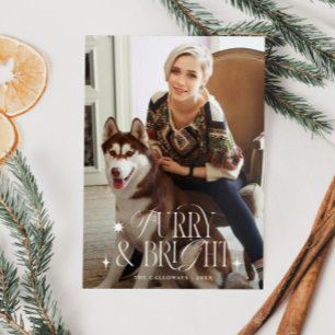 Felliger und heller Weihnachtsklassiker-Hundefoto Feiertagskarte