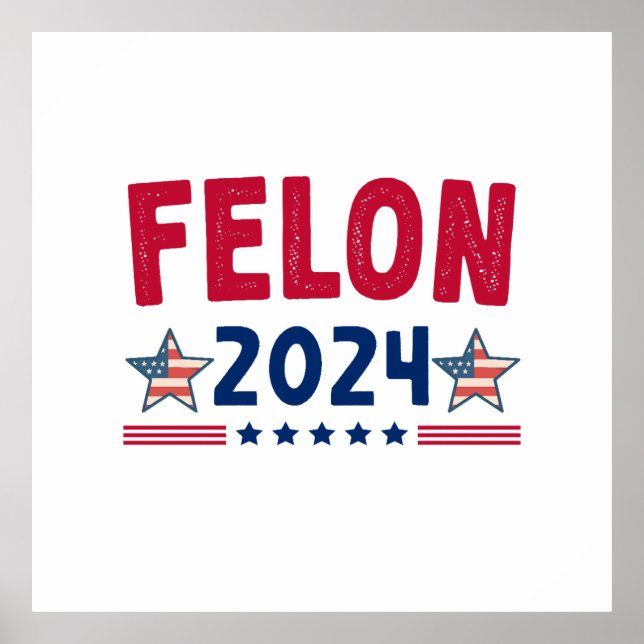 Felon 2024 Geschenk | USA Sarcastic Politics Poster (Vorne)