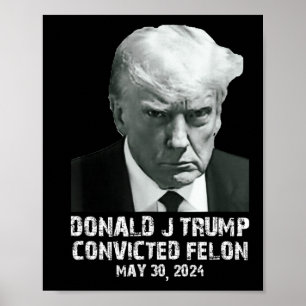 Felon Donald Trump Guilty sperrt Trump das Gefängn Poster