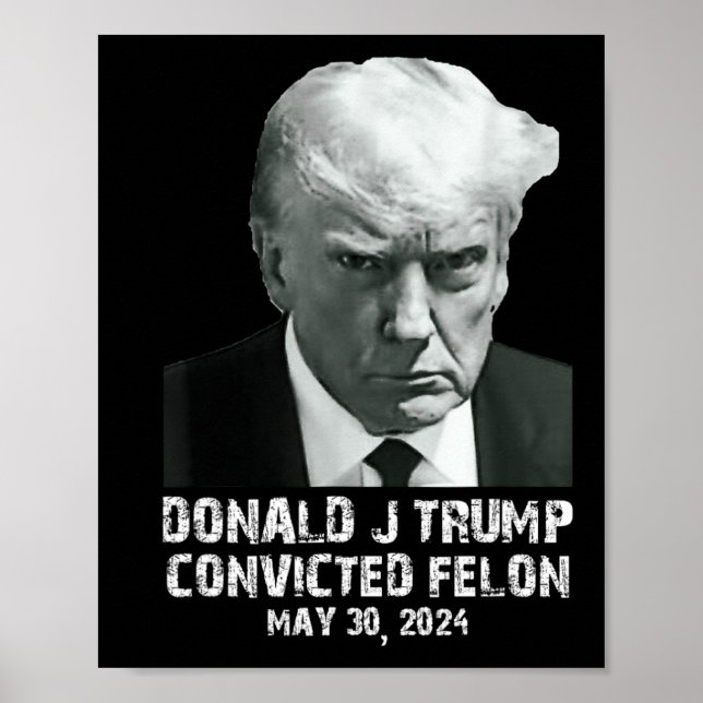 Felon Donald Trump Guilty sperrt Trump das Gefängn Poster (Vorne)