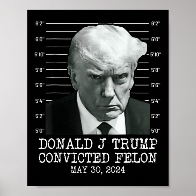 Felon Donald Trump Guilty sperrt Trump das Gefängn Poster (Vorne)