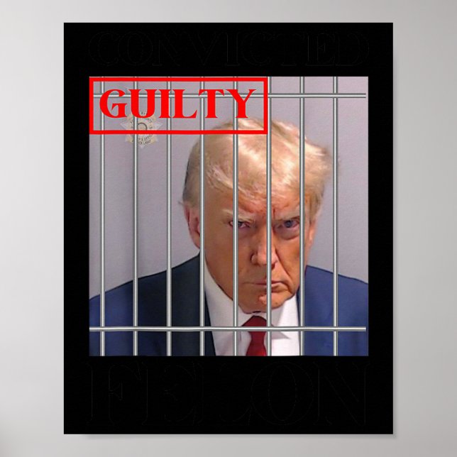 Felon Donald Trump Guilty sperrt Trump das Gefängn Poster (Vorne)