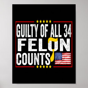 &#; Felony zählt Anti-Trump-politische Aussage Poster