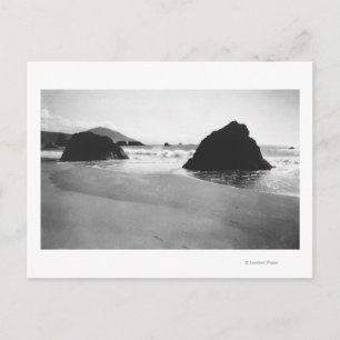 Felsen am Strand von Port Orford, Oregon Postkarte
