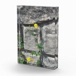 Felsen auf der Blume Fotoblock