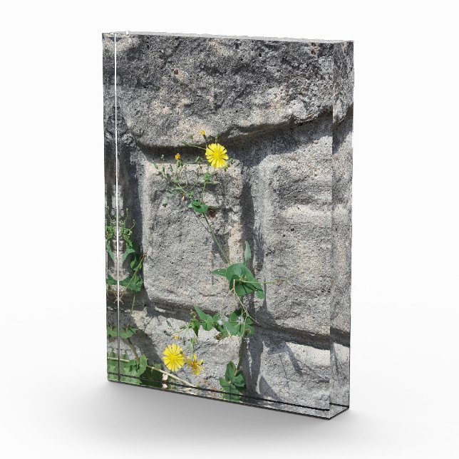 Felsen auf der Blume Fotoblock (Rechts)