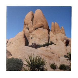 Felsen im Joshua-Tree-Nationalpark Fliese