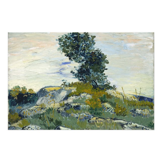 Felsen mit Eiche, Van Gogh Ölmalerei Fotodruck (Vorne)
