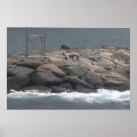 Felsen mit Vögeln Ozean-Wasserlandschaft-Poster